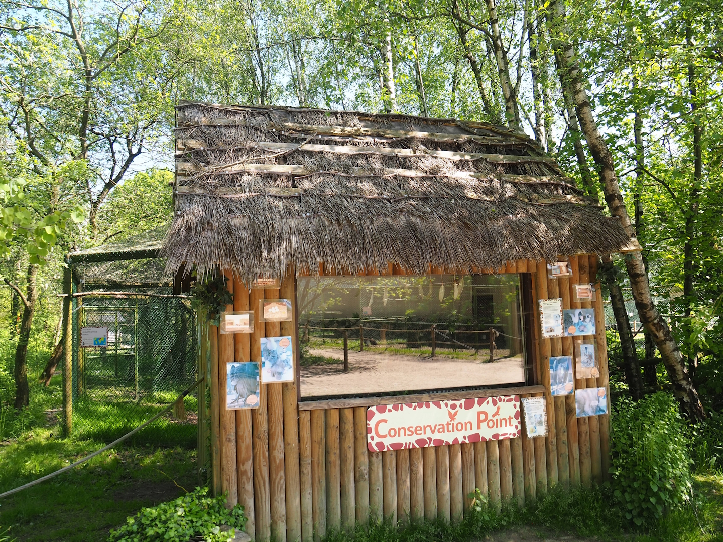Bird raising cabin the raptor area, 2023-05-19