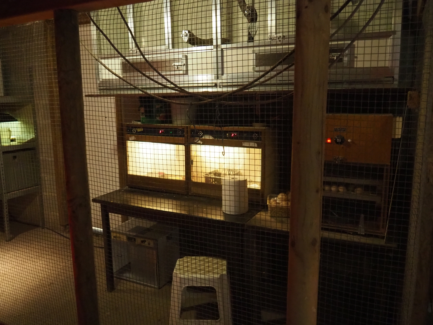 Bird rearing and quarantine (Aug 28th, 2018)