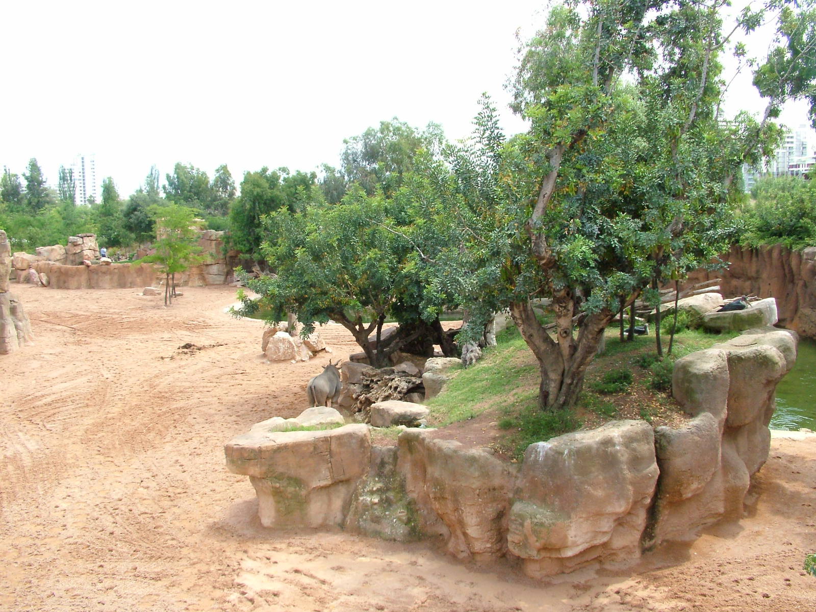 Bird Refuge - Second Savanna at Bioparc Valencia, 28/05/11
