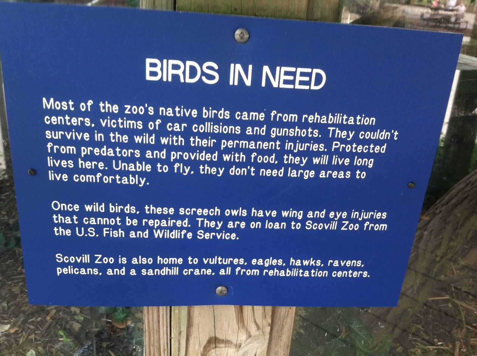 Bird Rehabilitation Signage