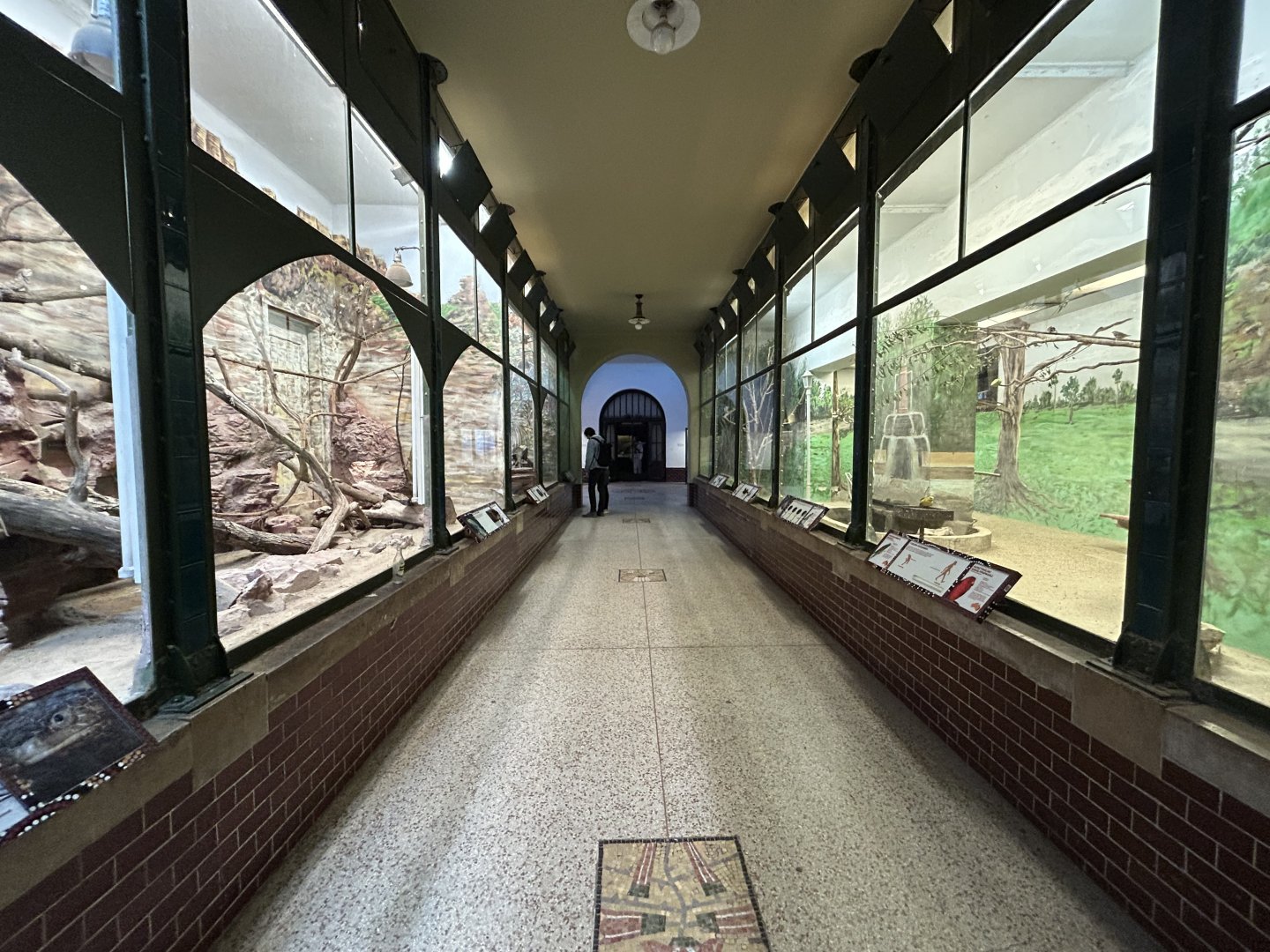 Bird & Reptile Exhibits - Australia House