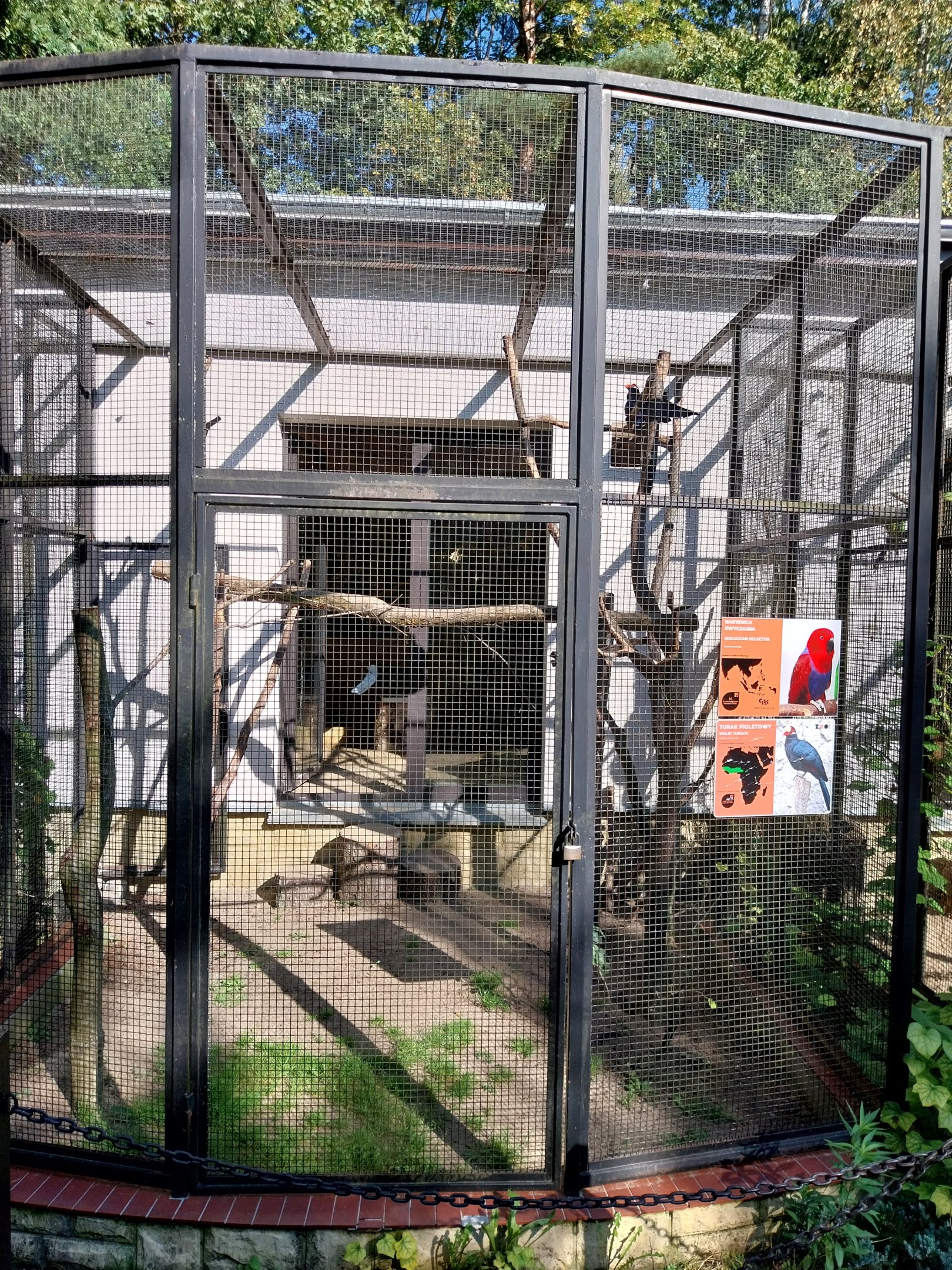 Bird & Reptile House - Aviary 2