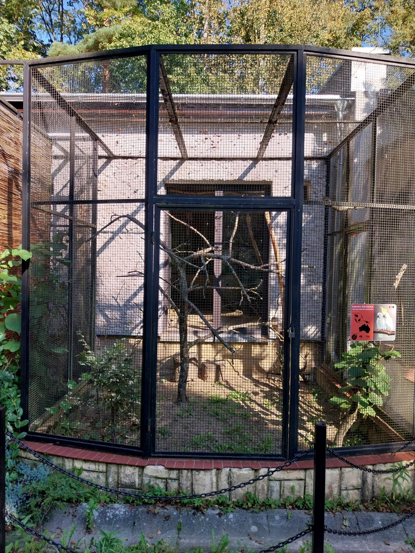 Bird & Reptile House - Aviary 4