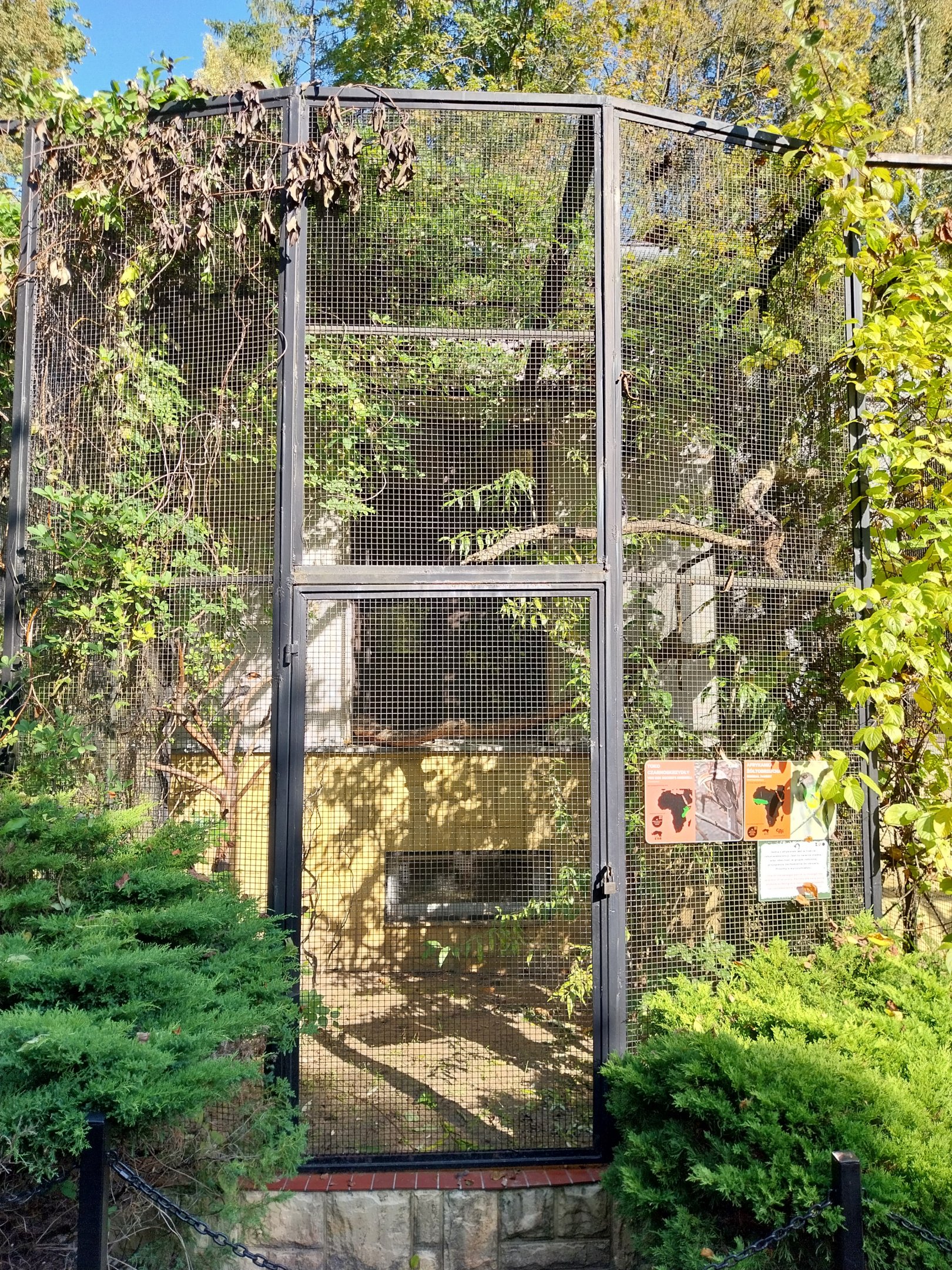 Bird & Reptile House - Aviary 7