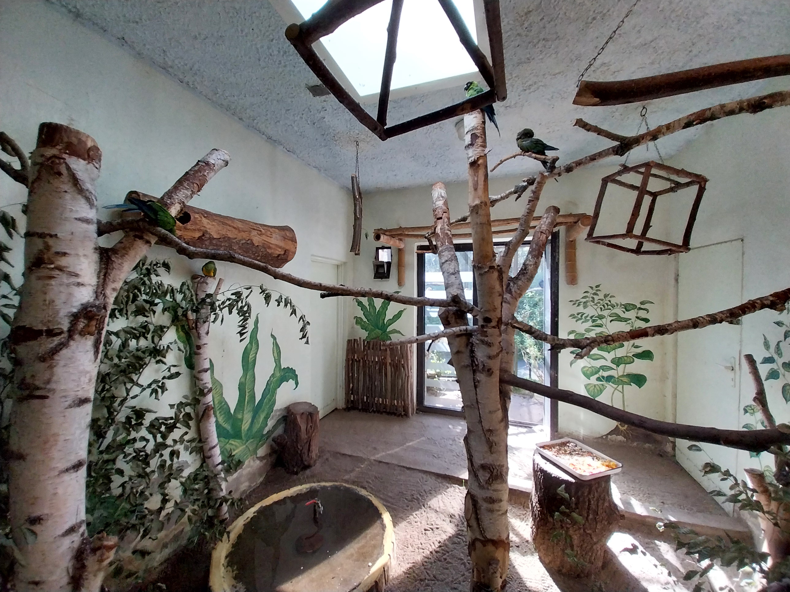 Bird & Reptile House - Left wing - Aviary 2