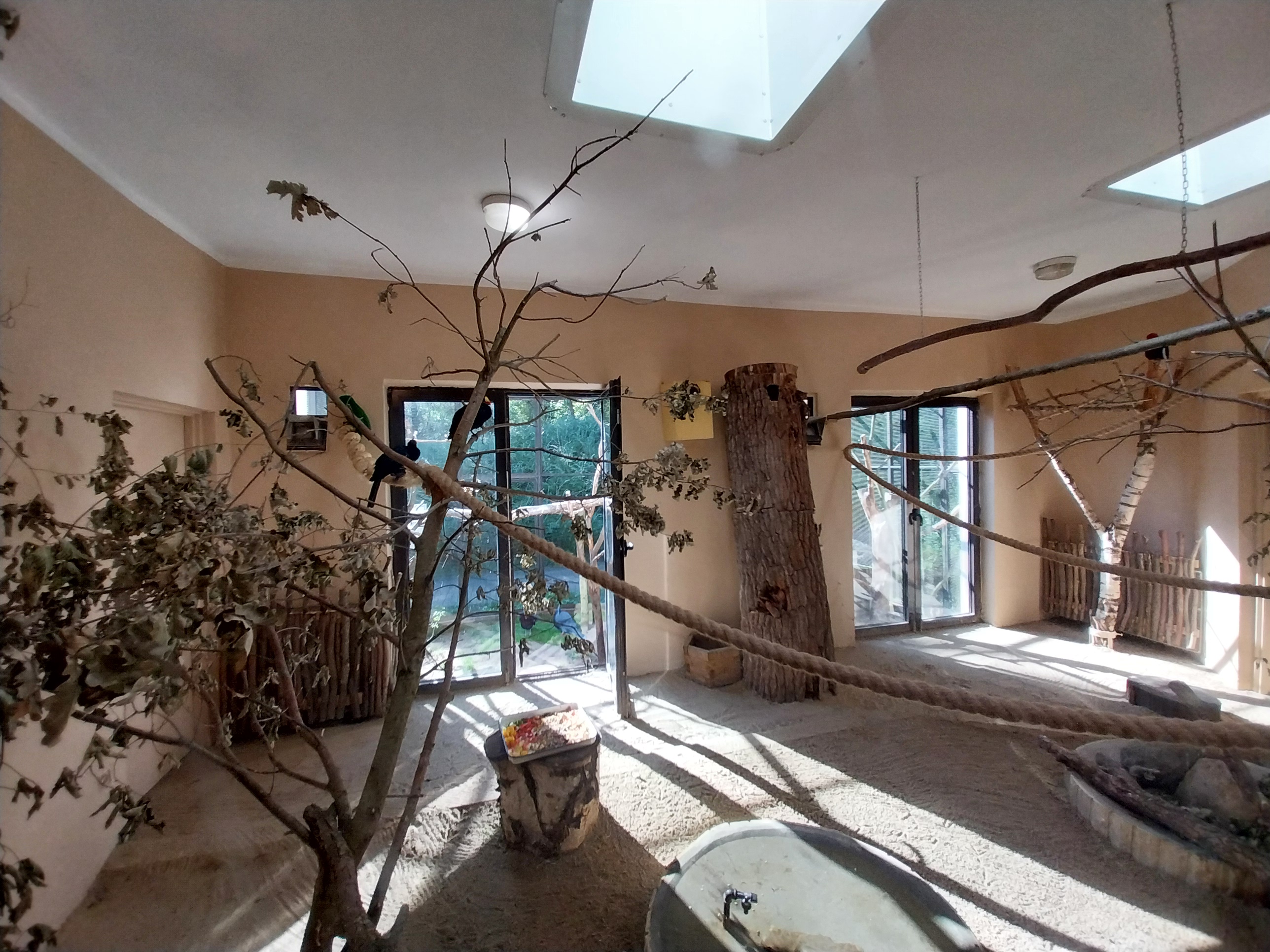 Bird & Reptile House - Left wing - Aviary 3