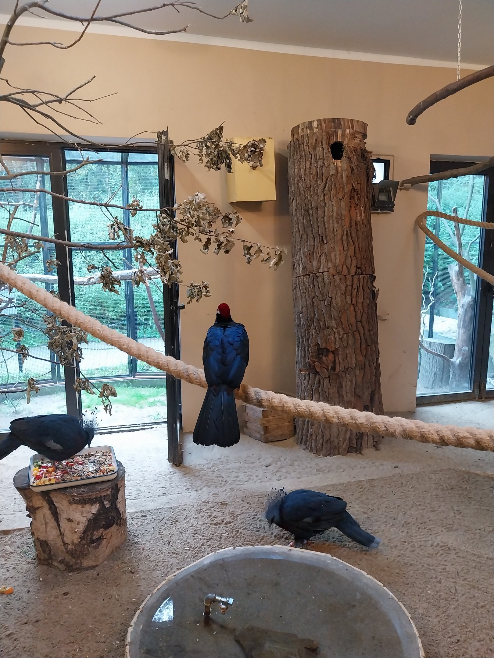 Bird & Reptile House - Left Wing - Aviary 3