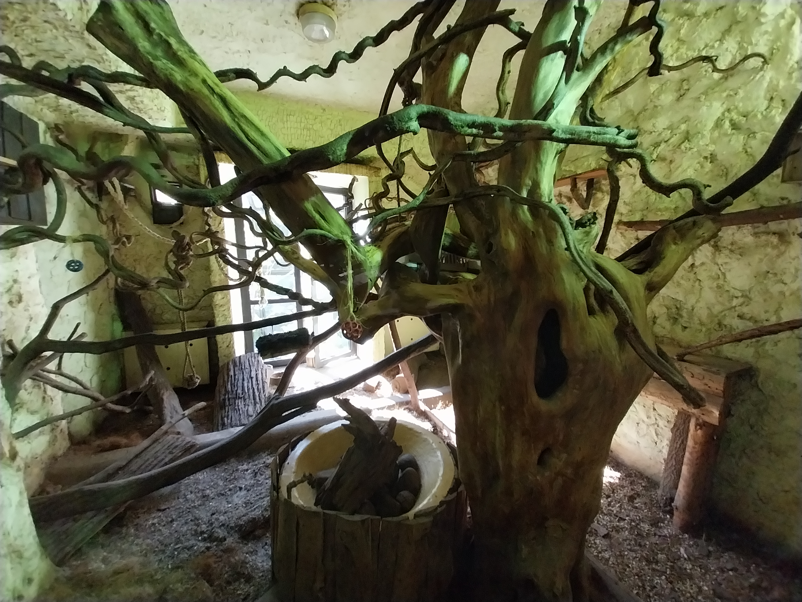 Bird & Reptile House - Middle wing - Aviary 1