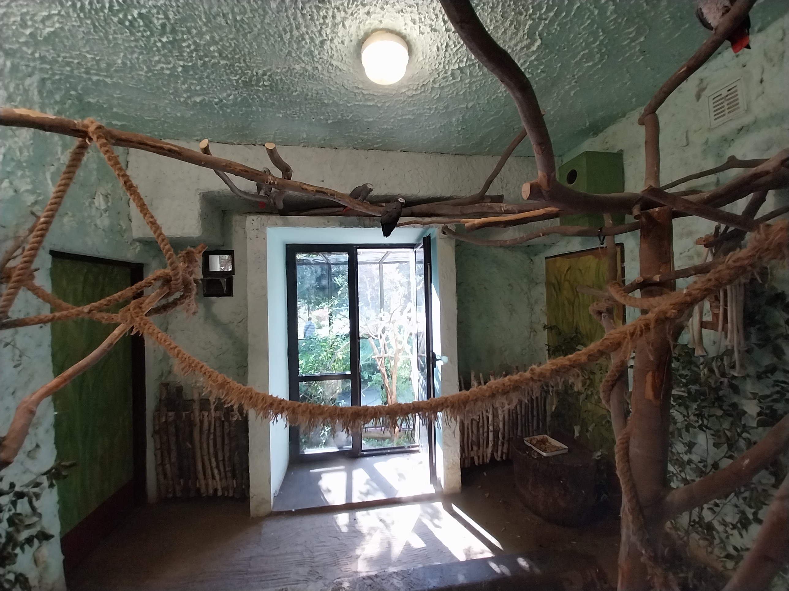 Bird & Reptile House - Middle wing - Aviary 2