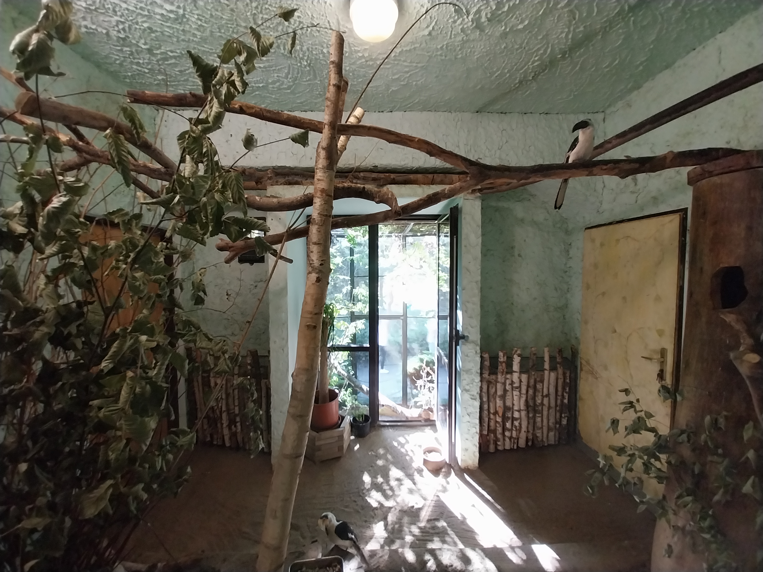 Bird & Reptile House - Middle wing - Aviary 3