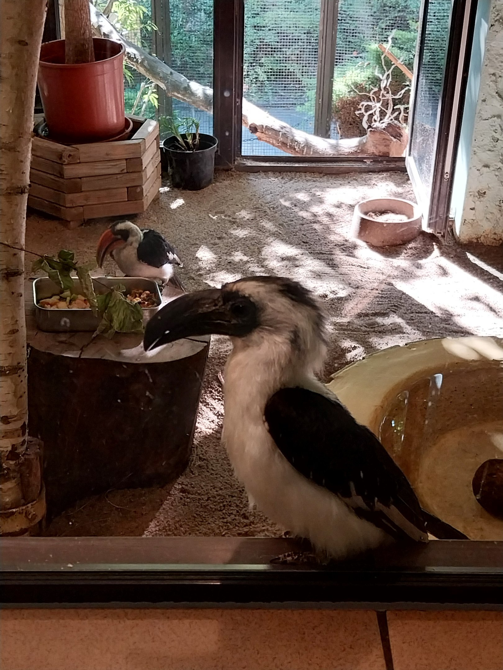 Bird & Reptile House - Middle wing - Aviary 3