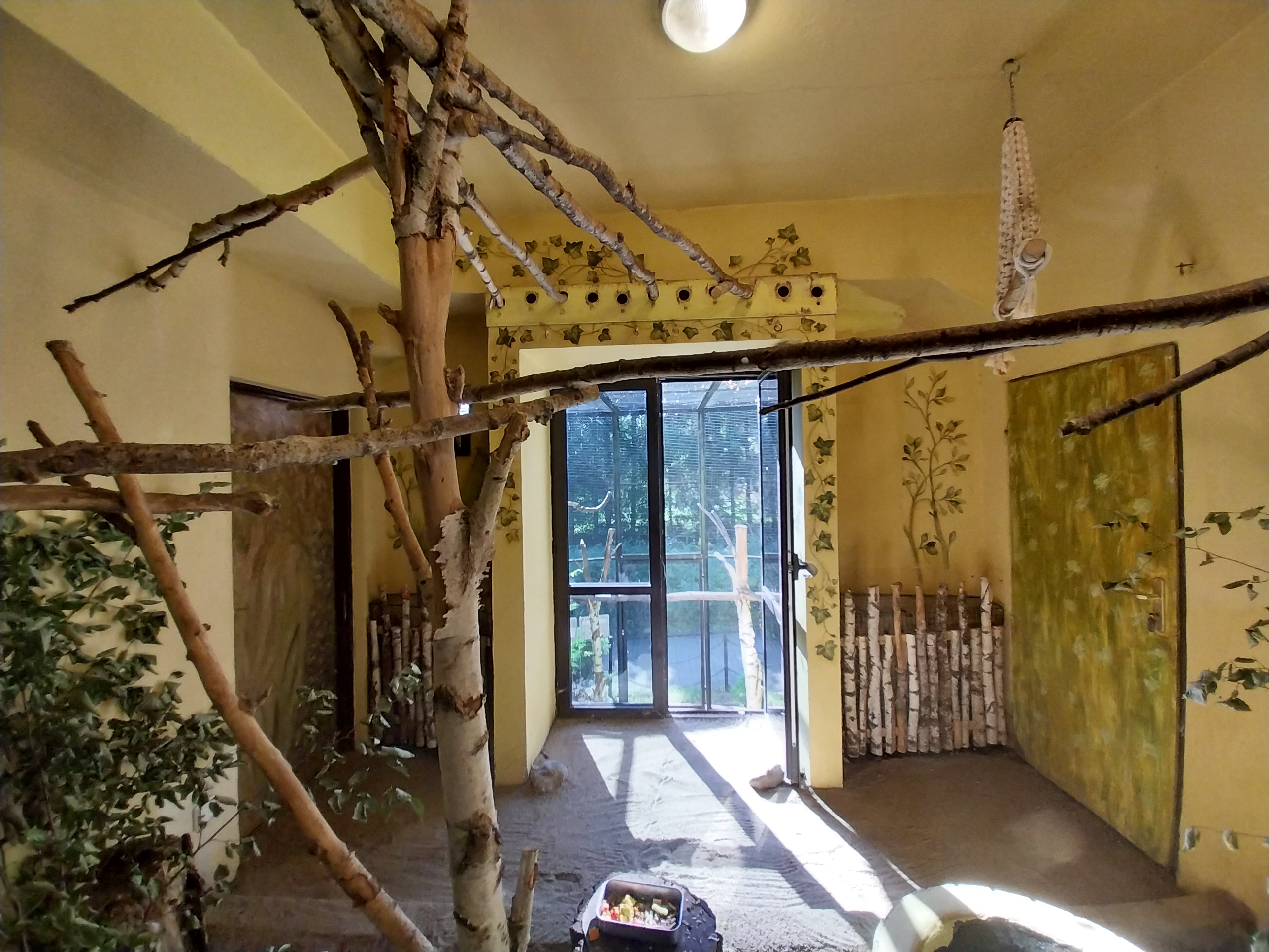 Bird & Reptile House - Middle wing - Aviary 4