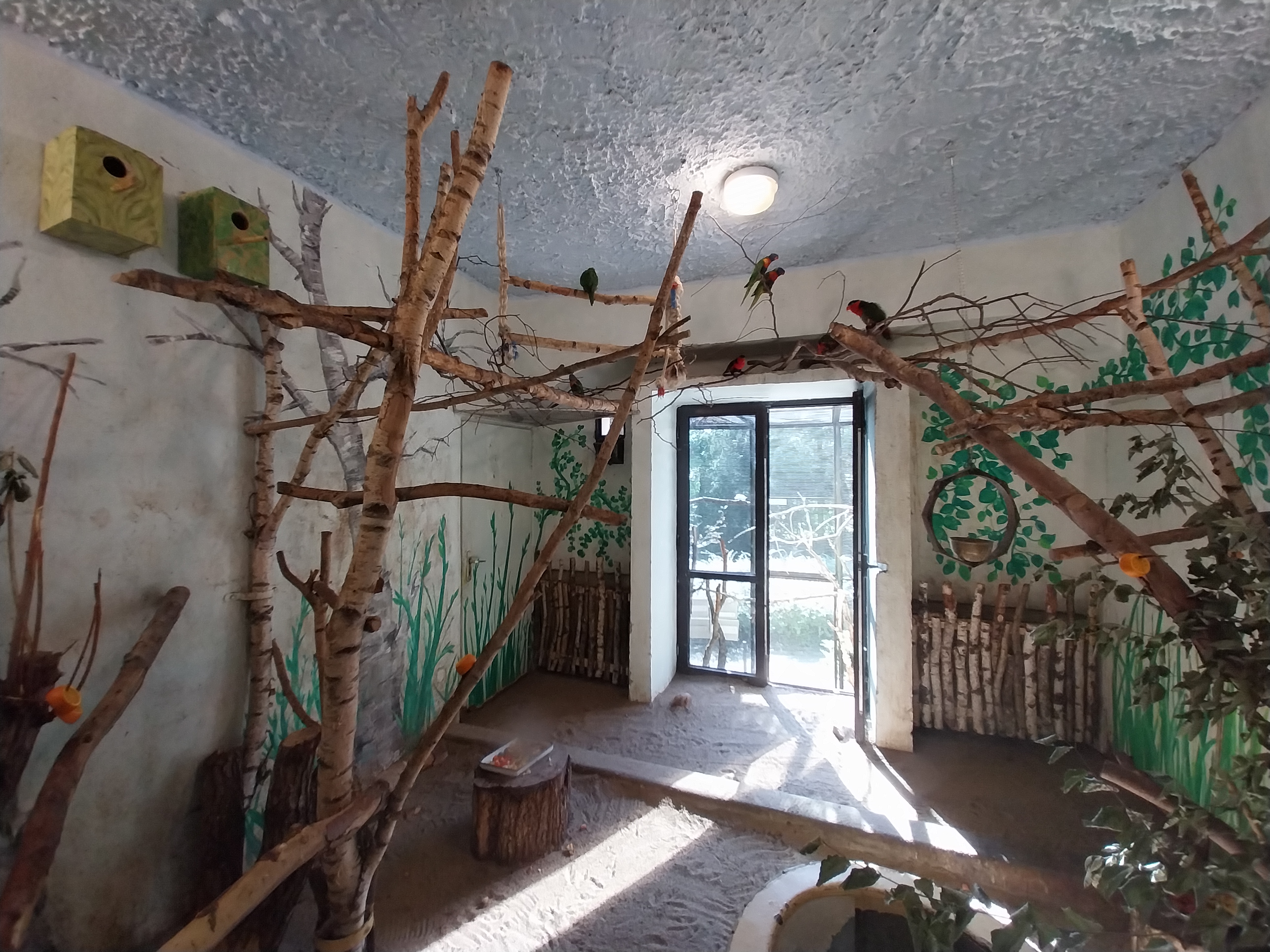 Bird & Reptile House - Middle wing - Aviary 5