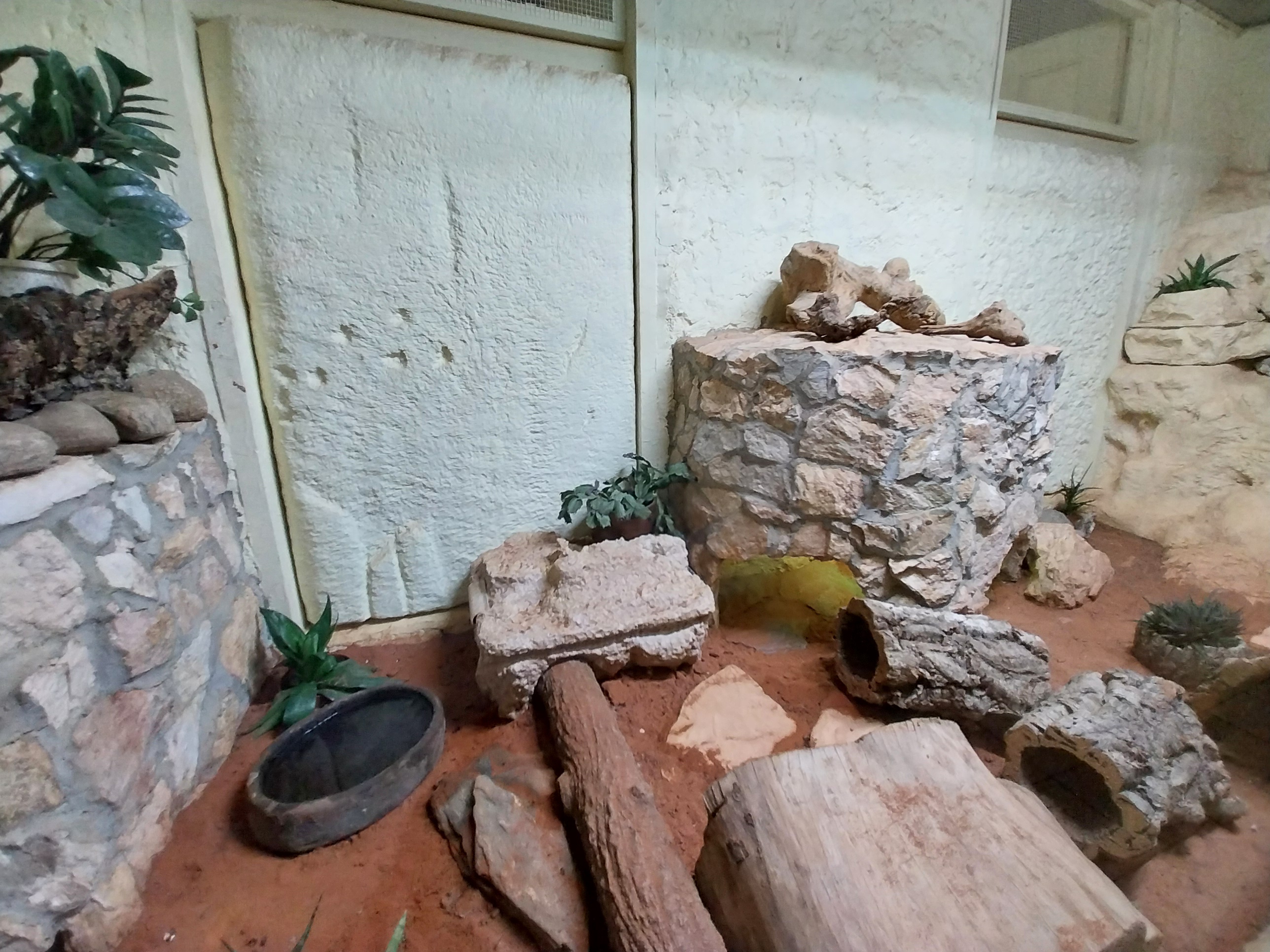 Bird & Reptile House - Middle wing - Terrarium 7+8