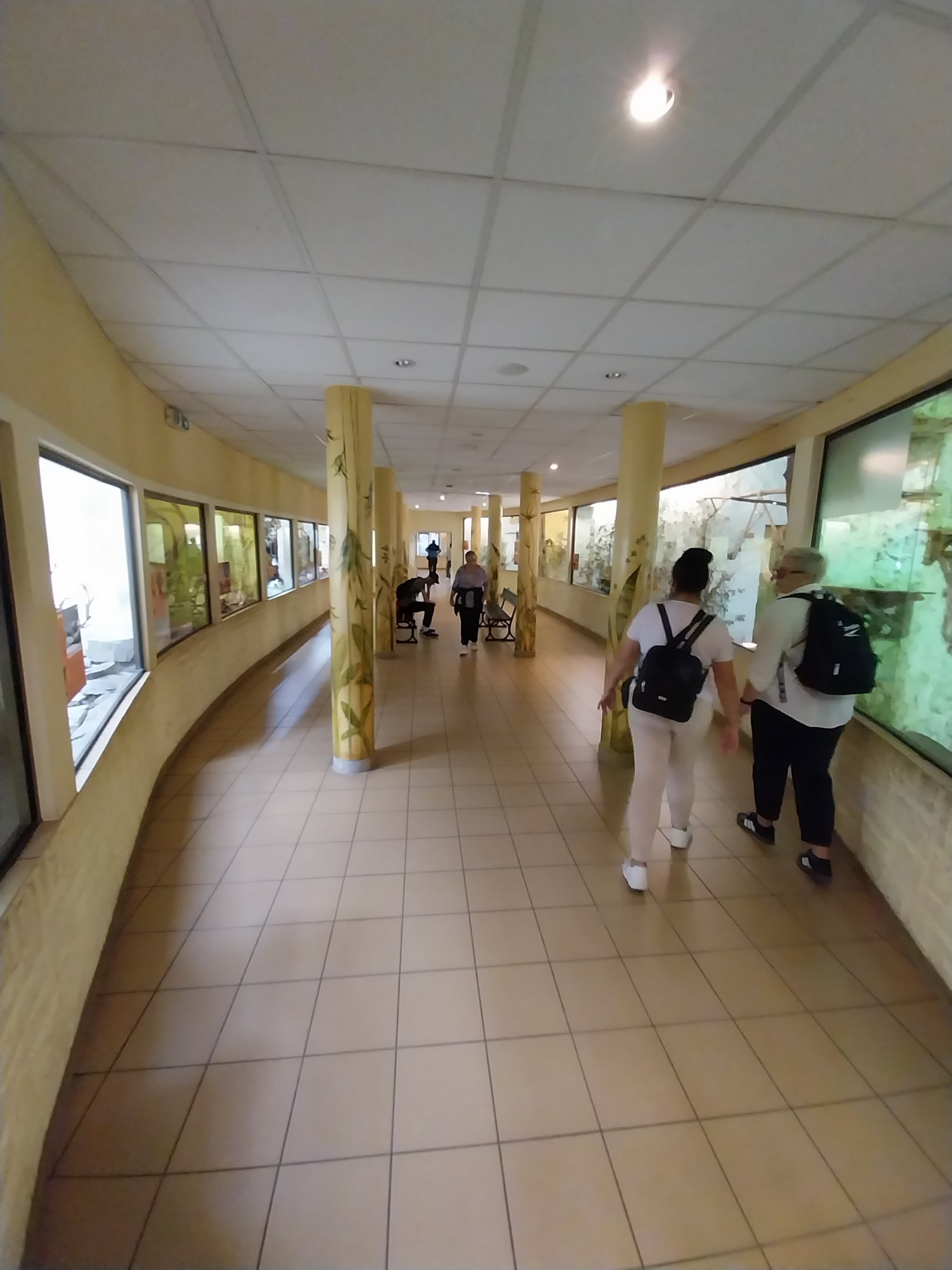 Bird & Reptile House - Middle wing