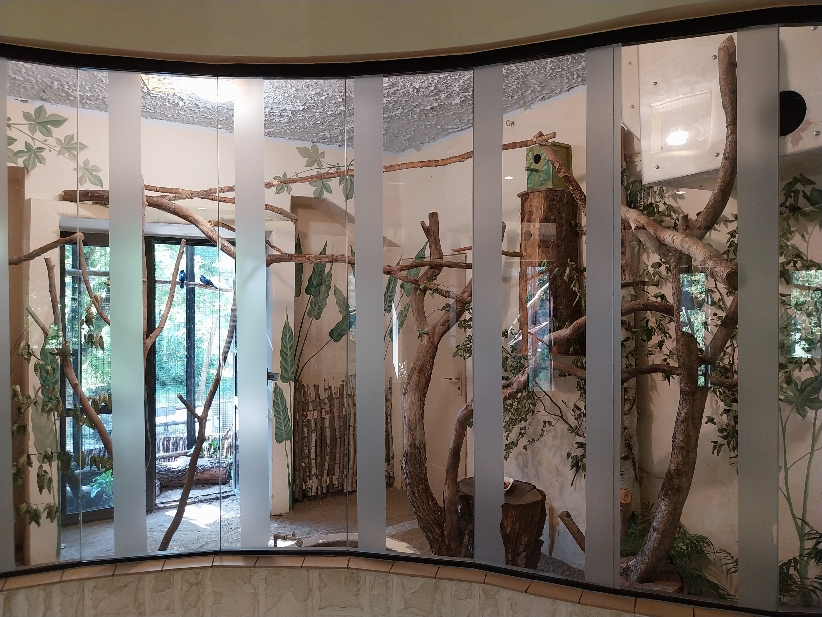 Bird & Reptile House - Right wing - Aviary 2