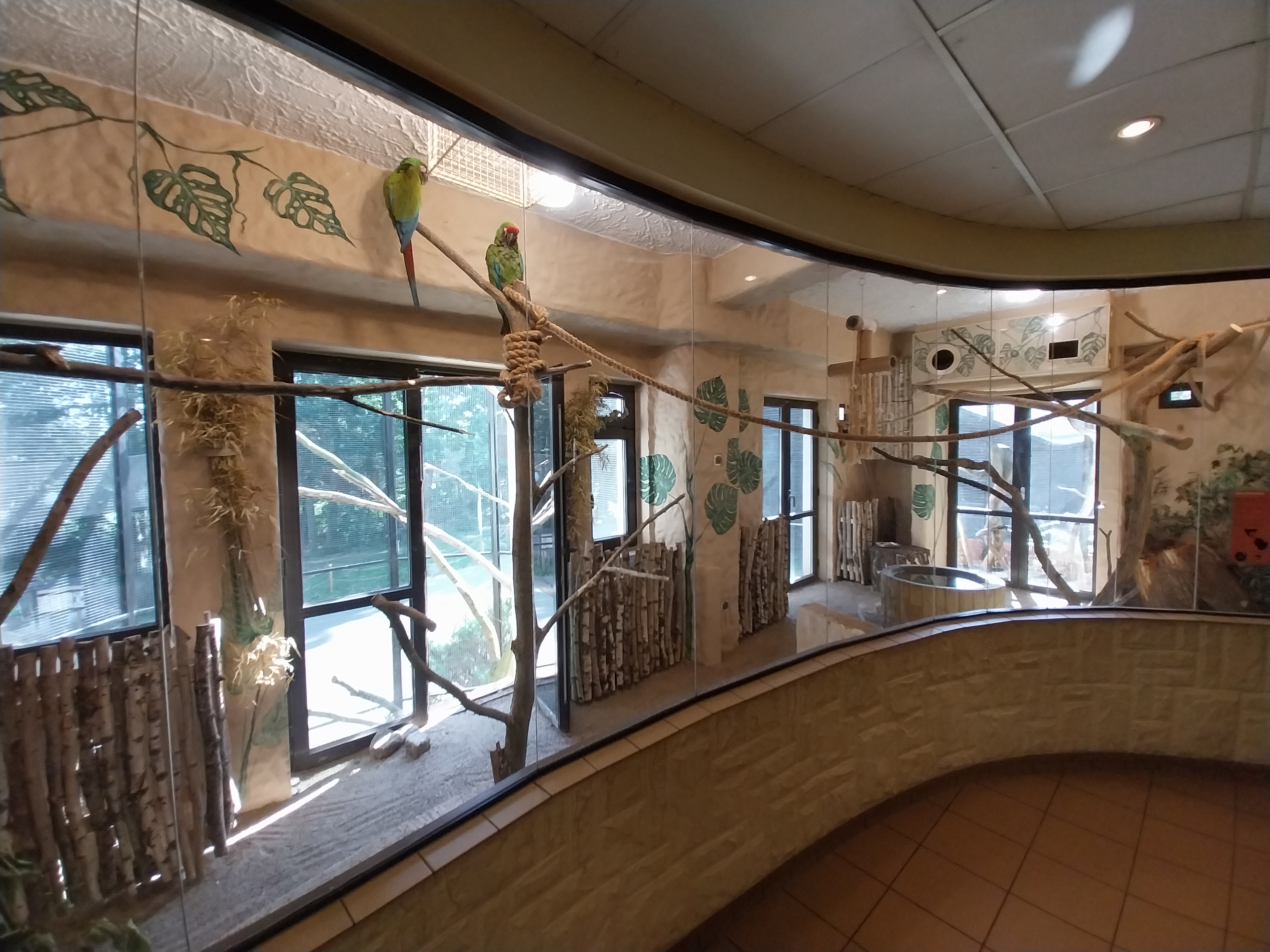 Bird & Reptile House - Right wing - Aviary 3