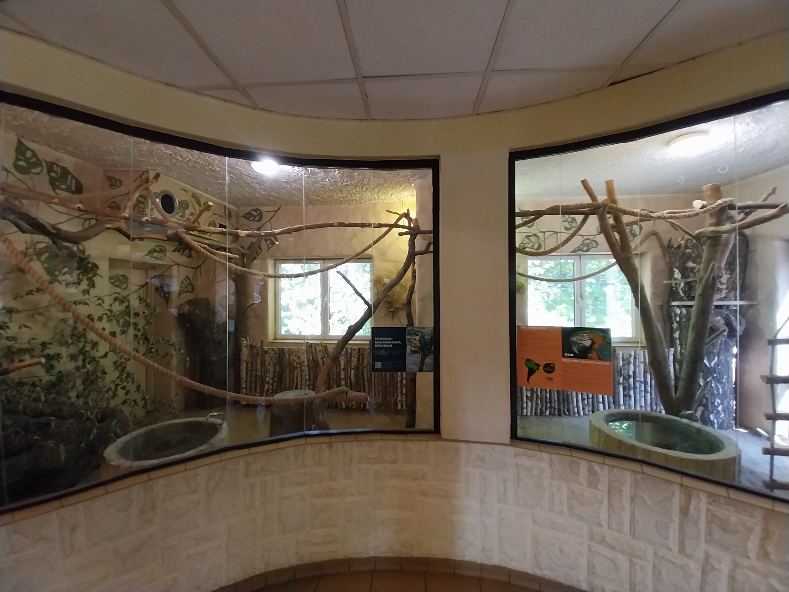 Bird & Reptile House - Right wing - Aviary 4