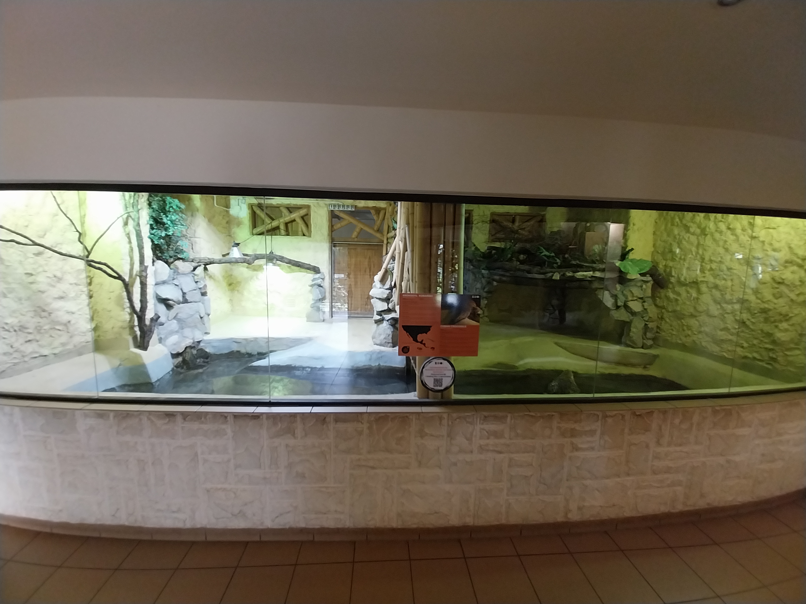 Bird & Reptile House - Right wing - Terrarium