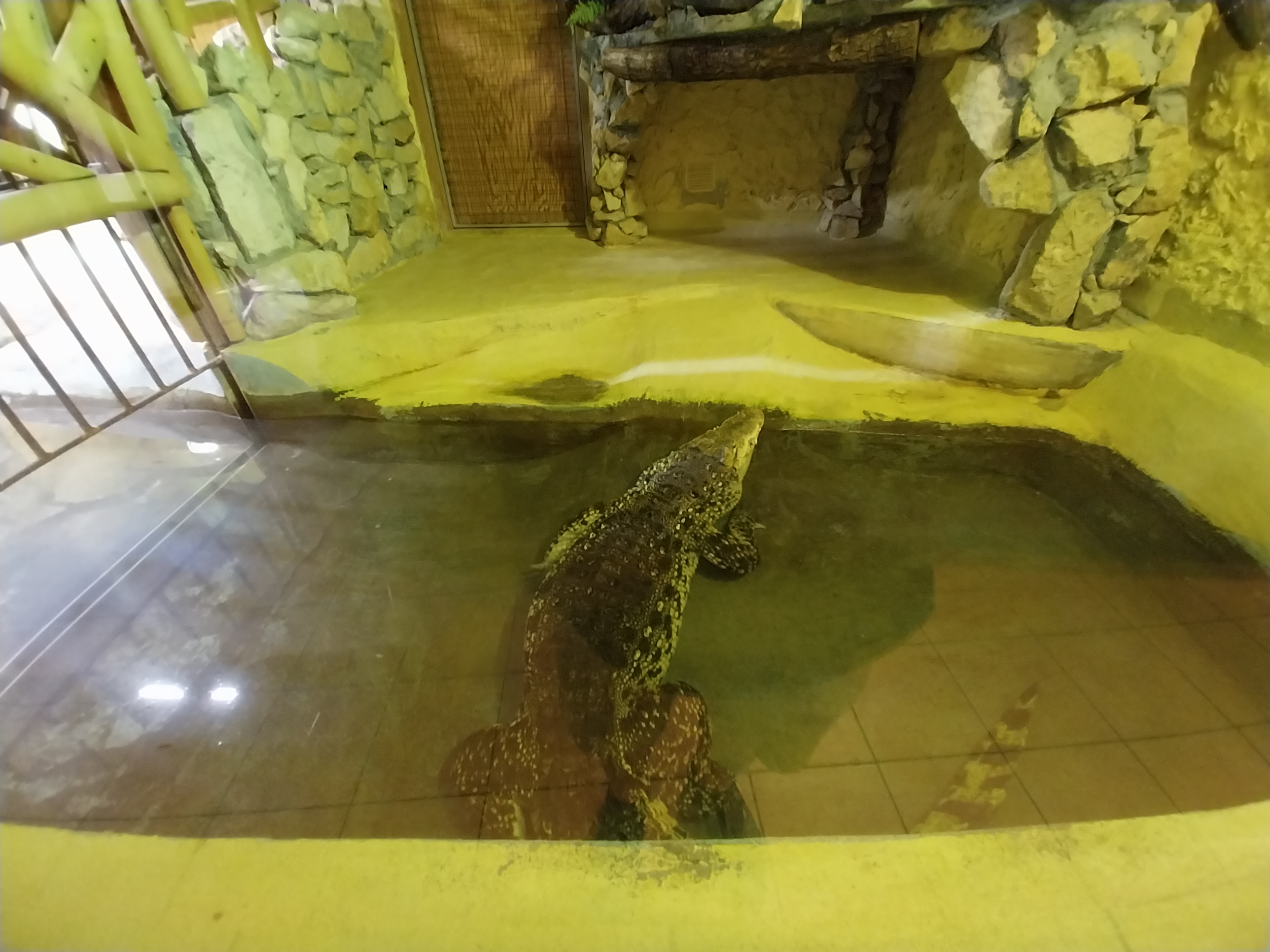 Bird & Reptile House - Right wing - Terrarium