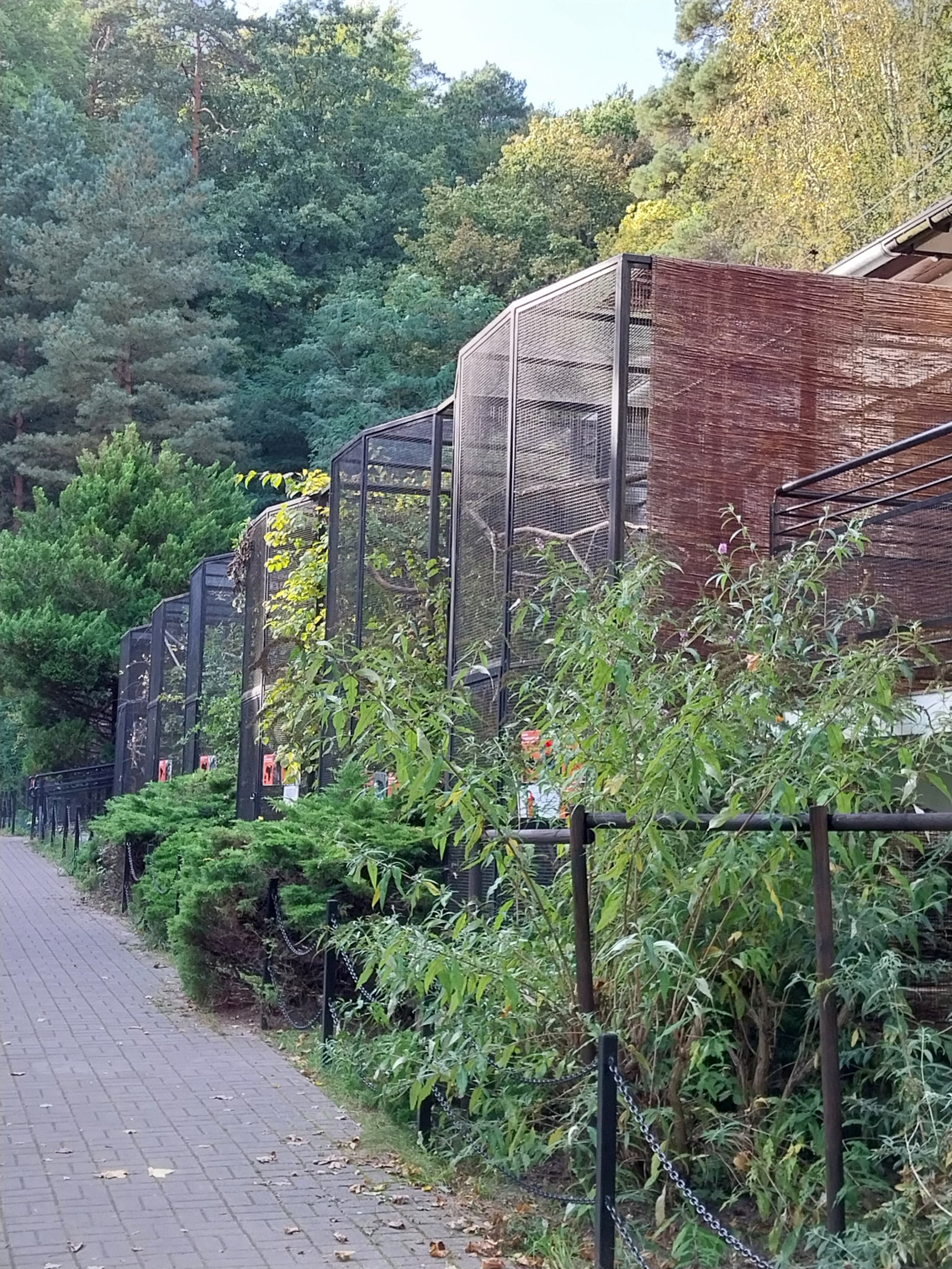 Bird & Reptile House