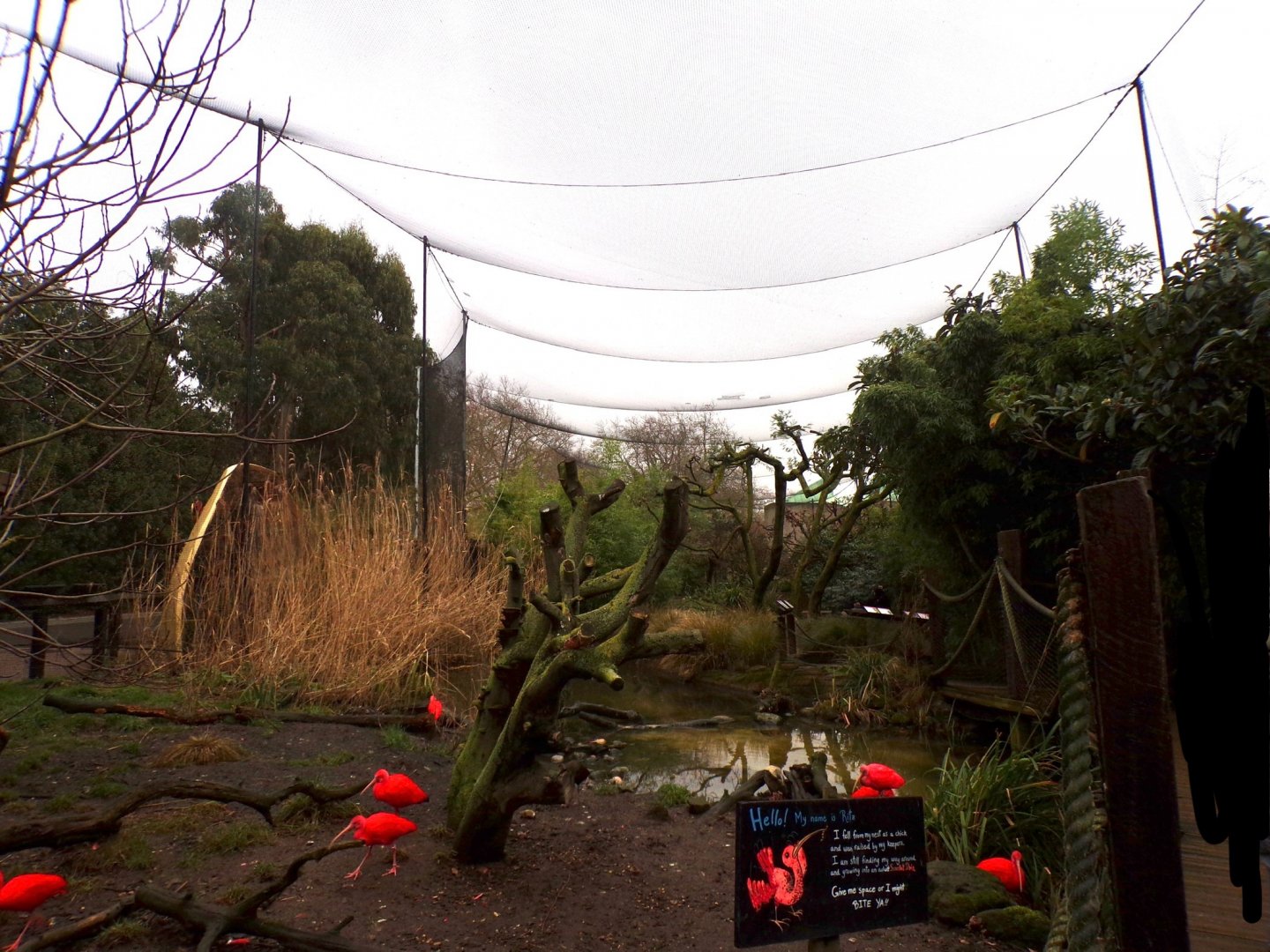 Bird safari aviary 11.2.25