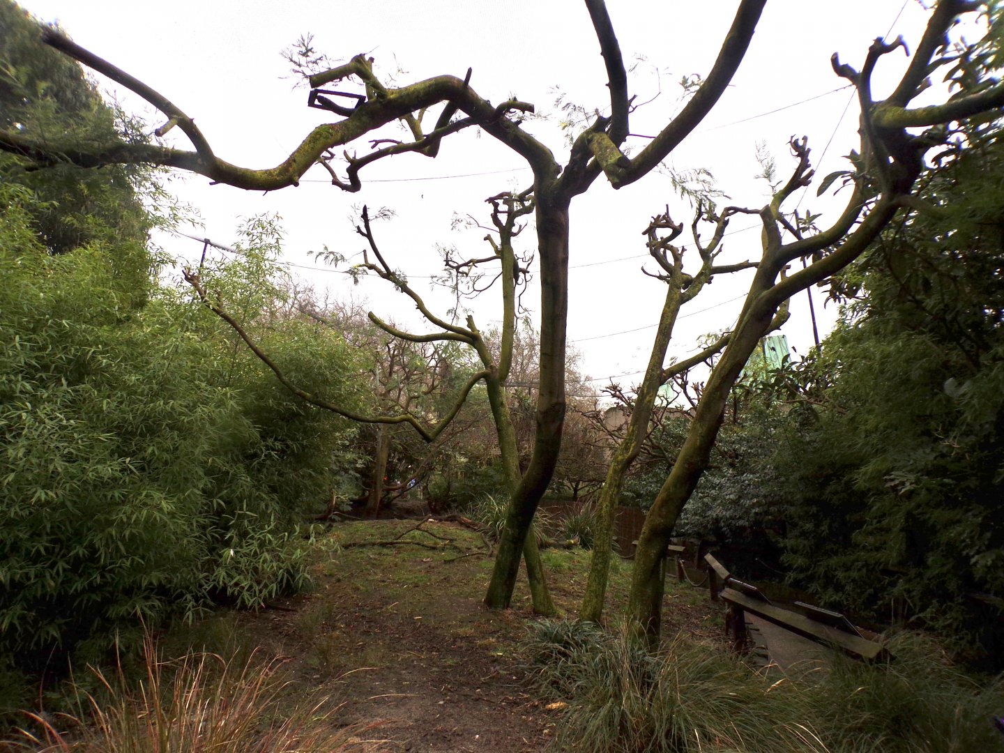 Bird safari aviary 11.2.25