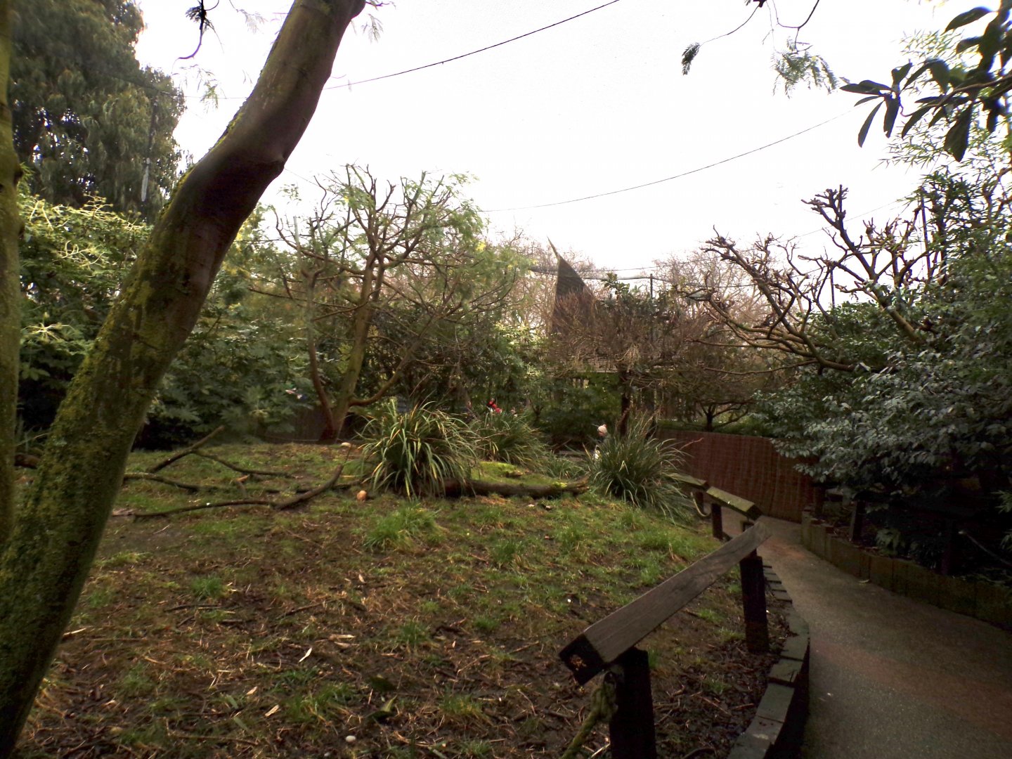 Bird safari aviary 11.2.25