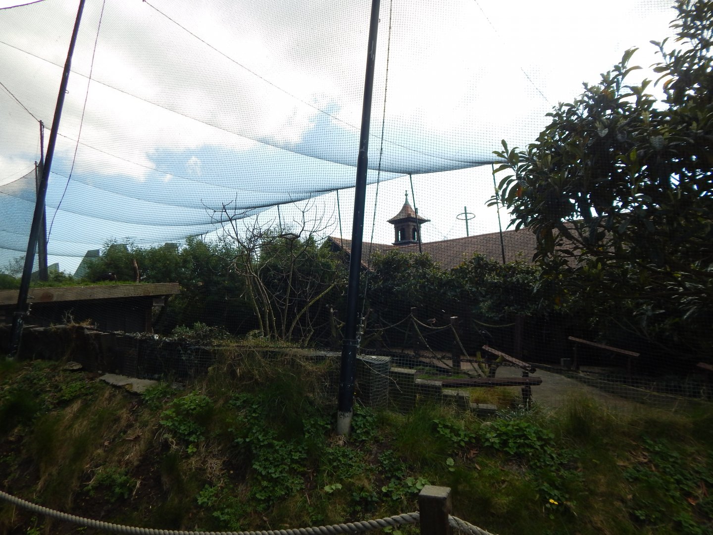 Bird Safari aviary (closed) 180322