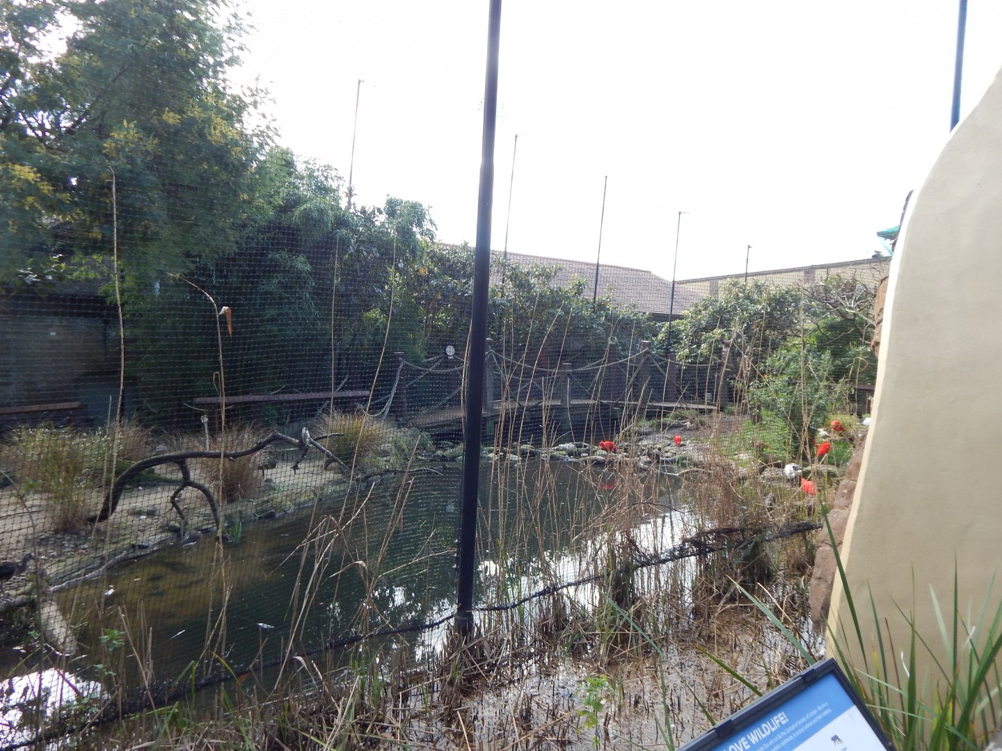 Bird Safari aviary (closed) 180322