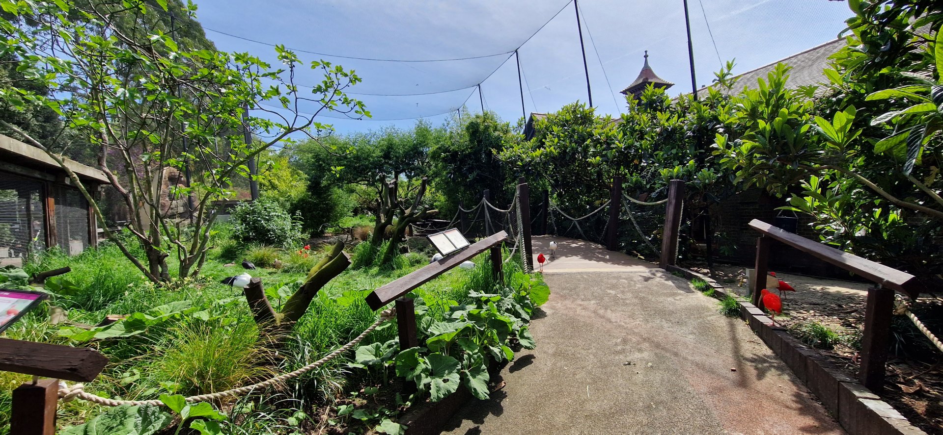 Bird Safari Walktrough Aviary