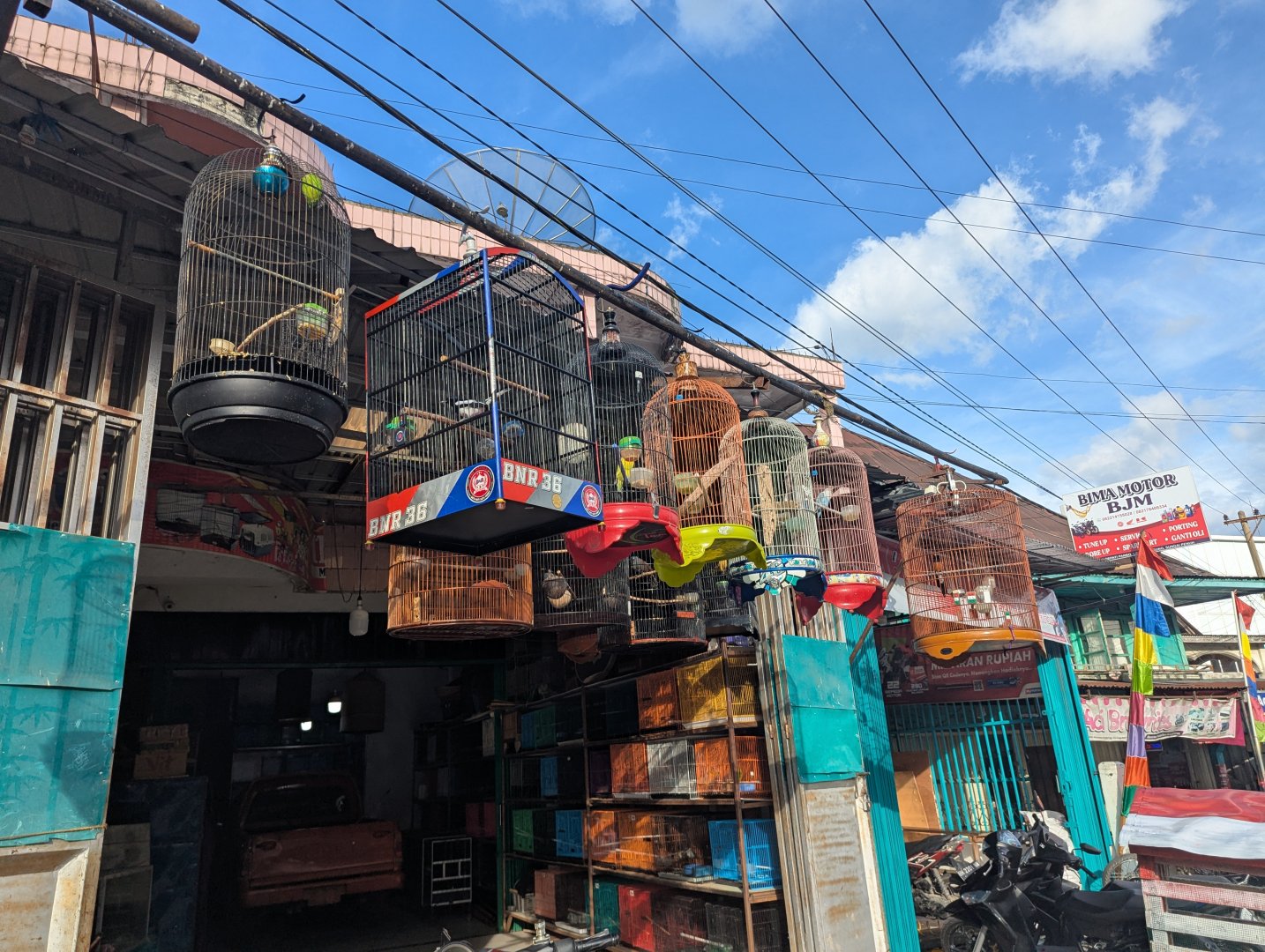 Bird Shop in Sungai Penuh