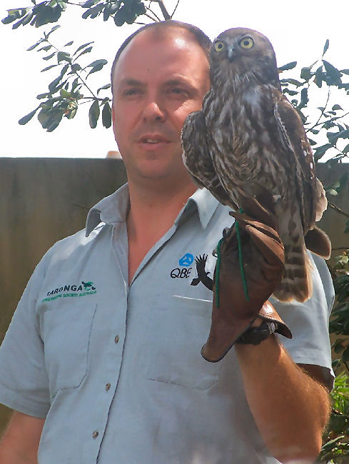 Bird Show 2010