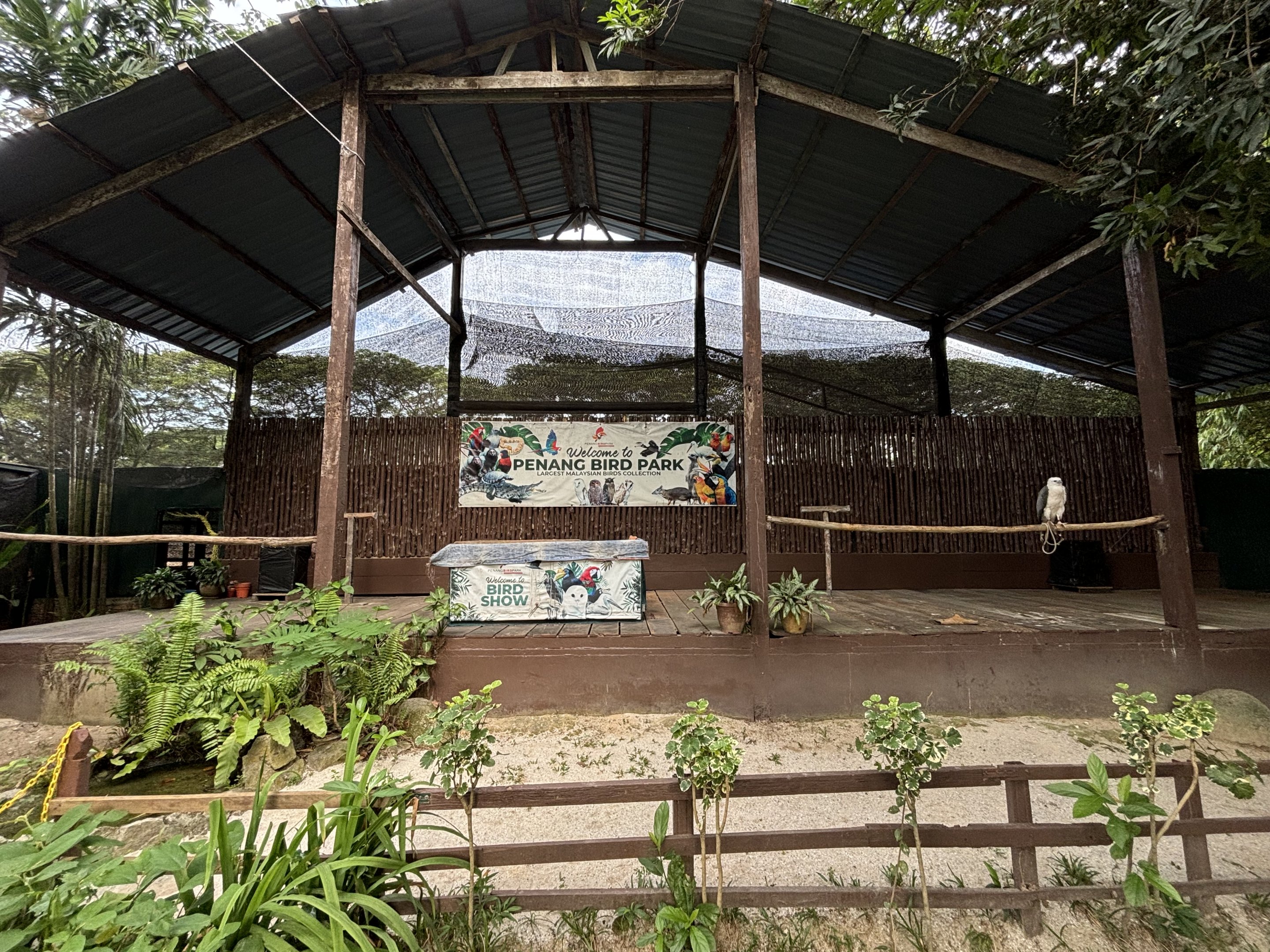 Bird Show Amphitheater