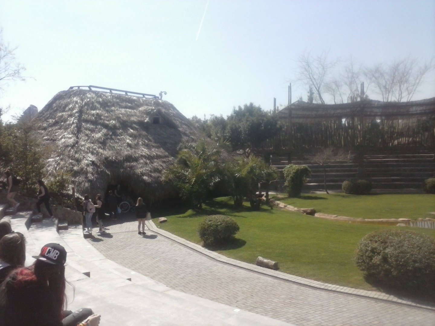 Bird show amphitheatre