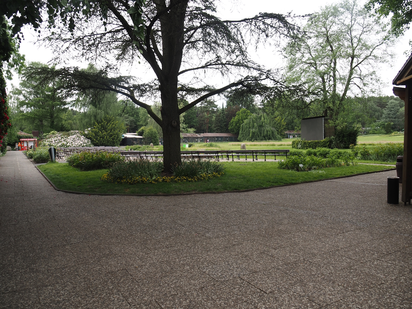 Bird show area, 2024-05-21