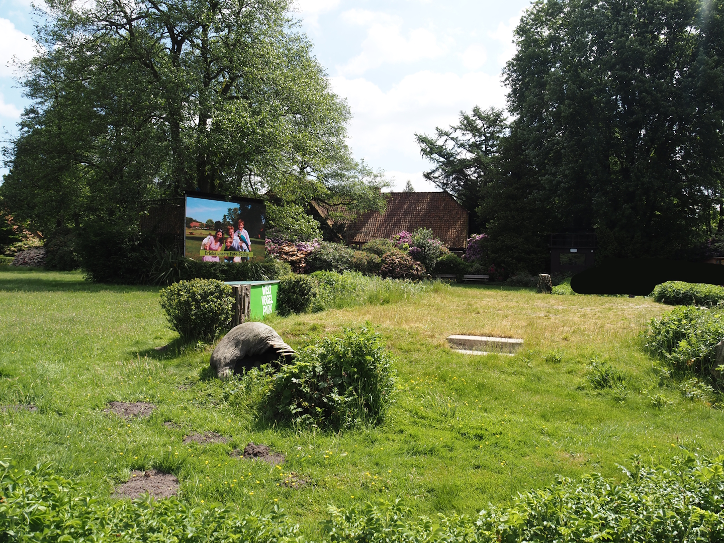 Bird show area, 2024-05-23