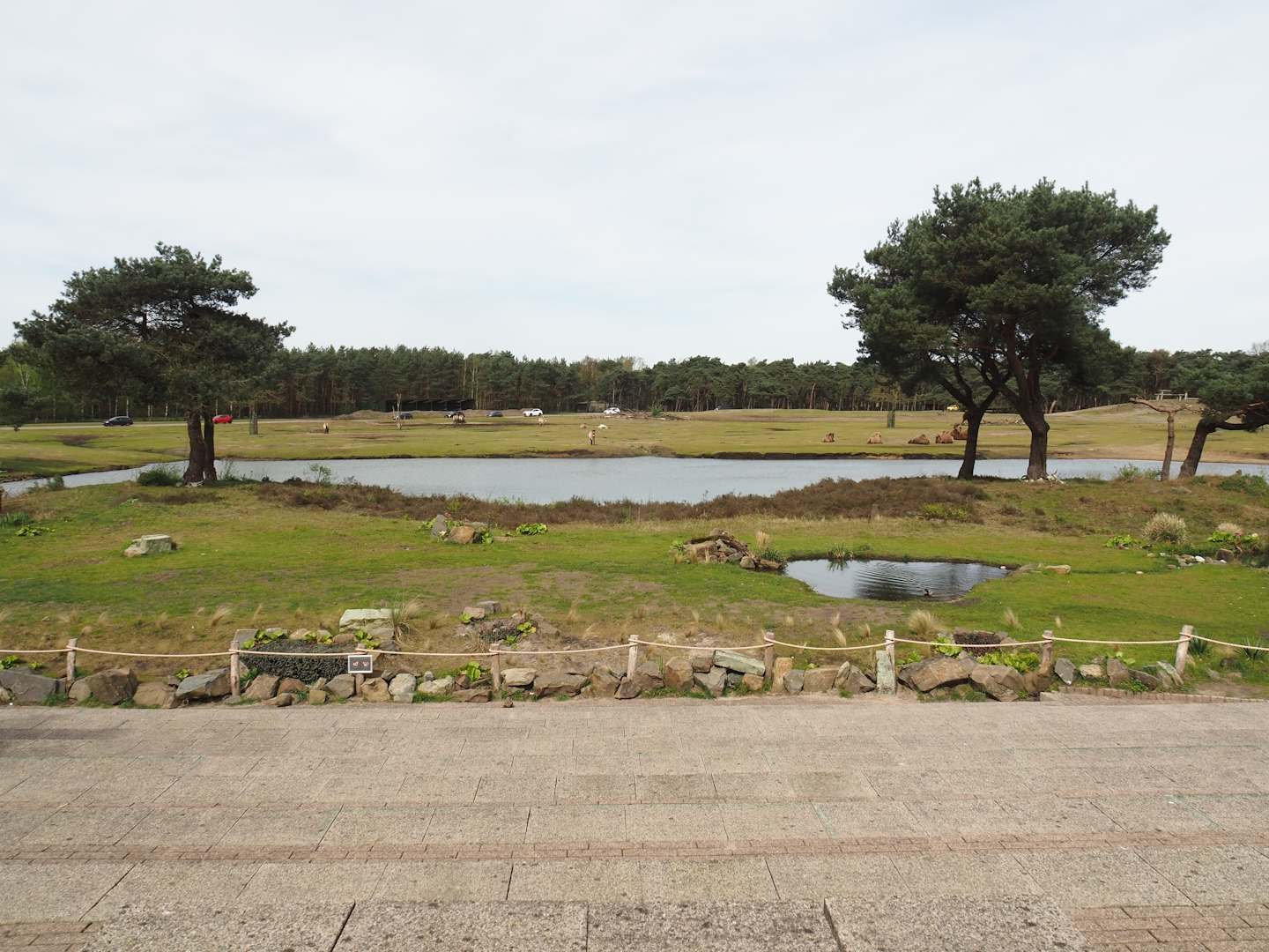 Bird show area and Car safari Asian Plains exhibit, seen from walking safari across safari boat canal, 2024-04-06