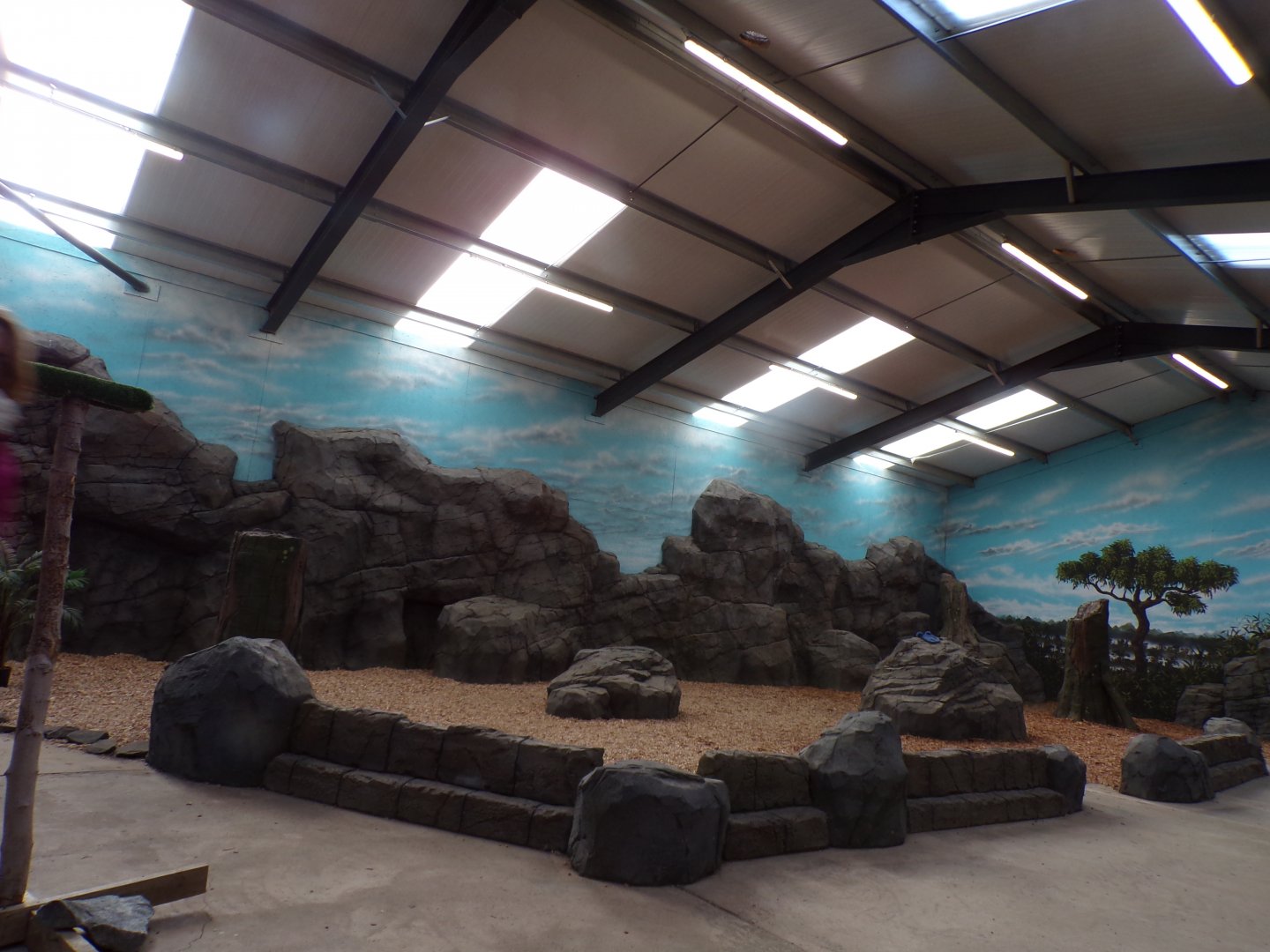 Bird show arena 14.10.23