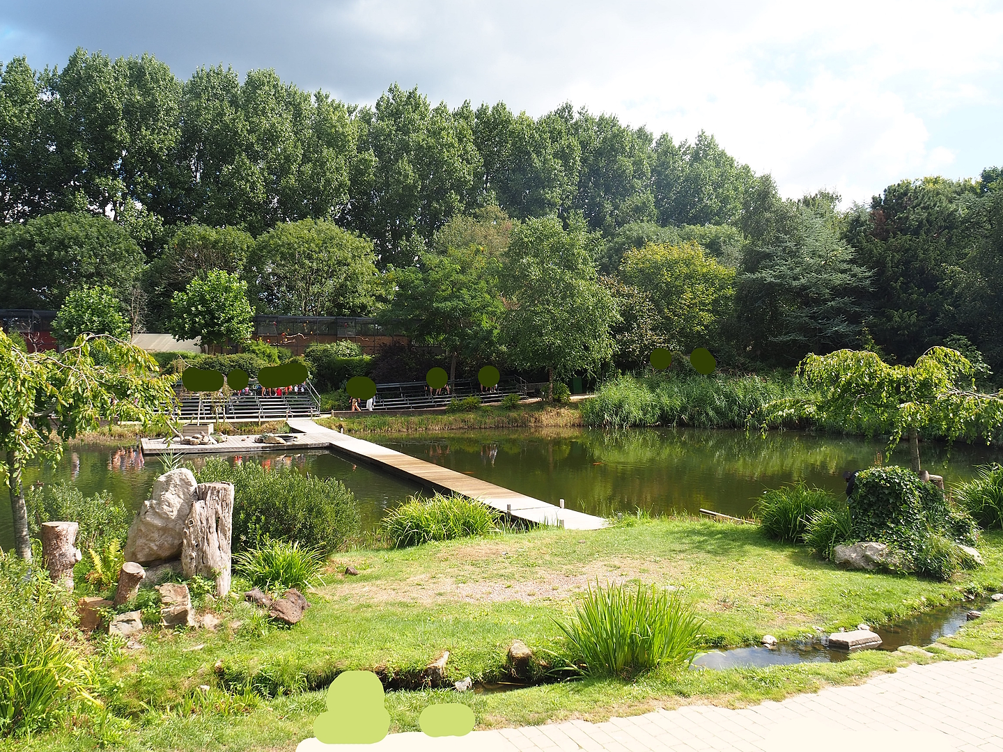 Bird show arena, 2022-08-28