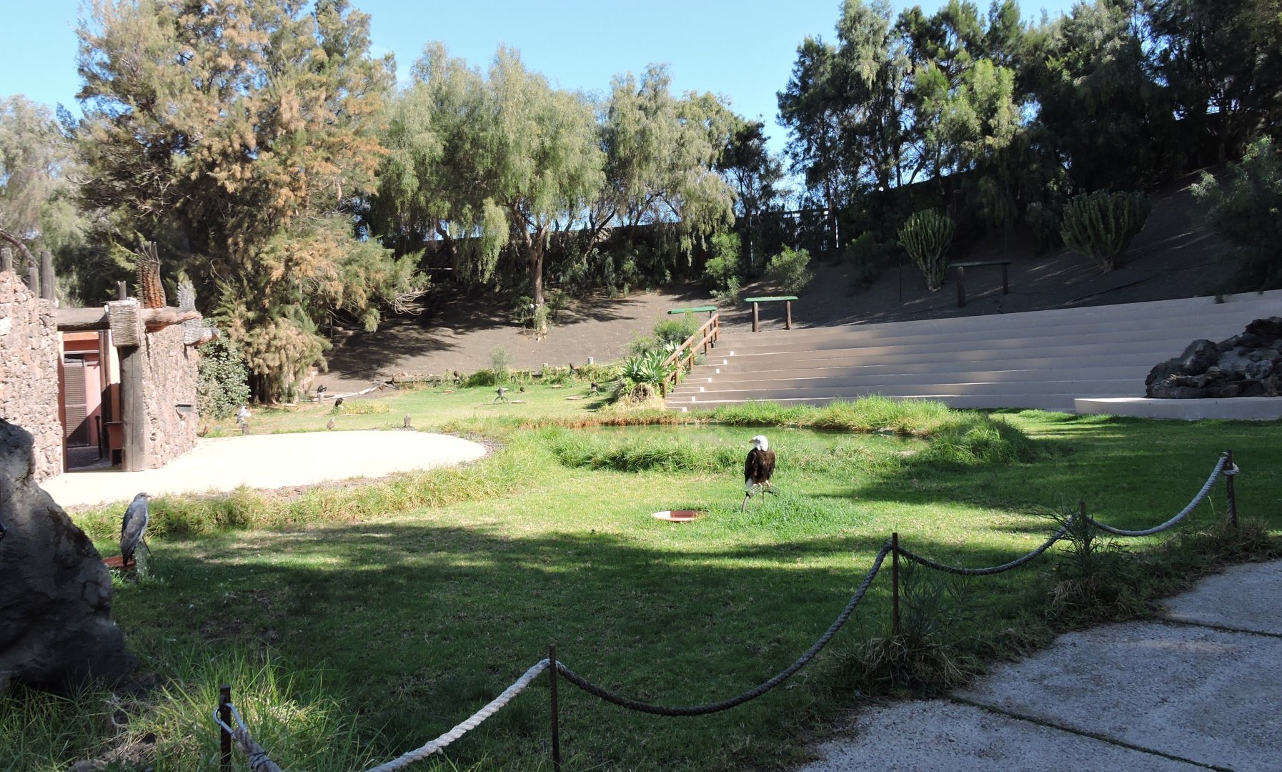 Bird Show Arena