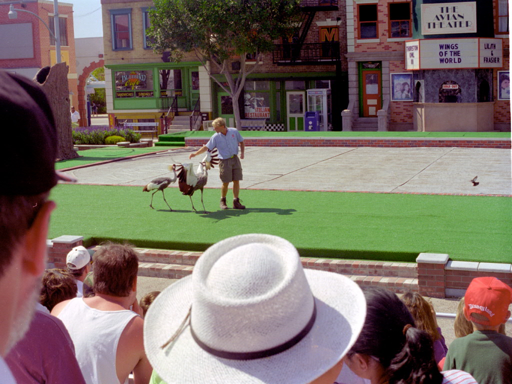 Bird Show at Sea World CA, 1998