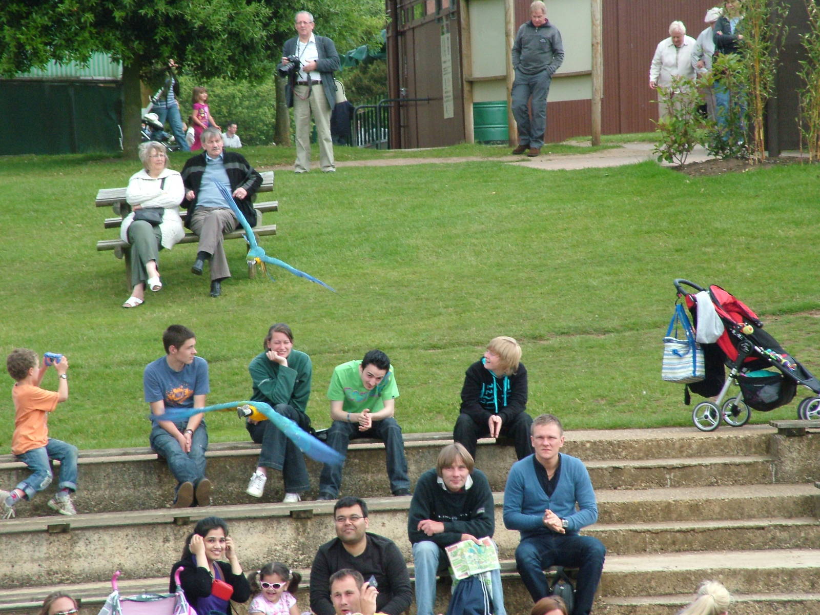 Bird Show at Woburn, 20/06/10