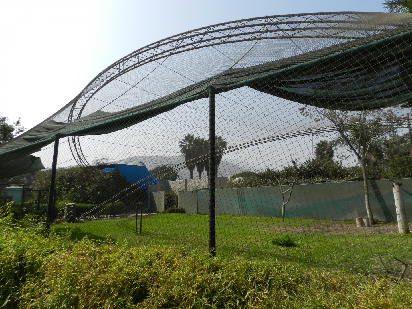 Bird show aviary - Parque Zoológico Huachipa