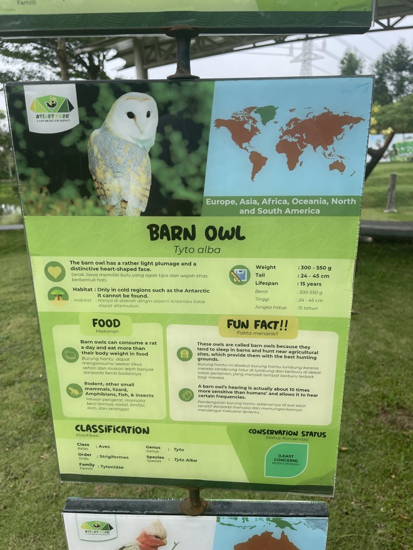 bird show - barn owl signage - aviary park