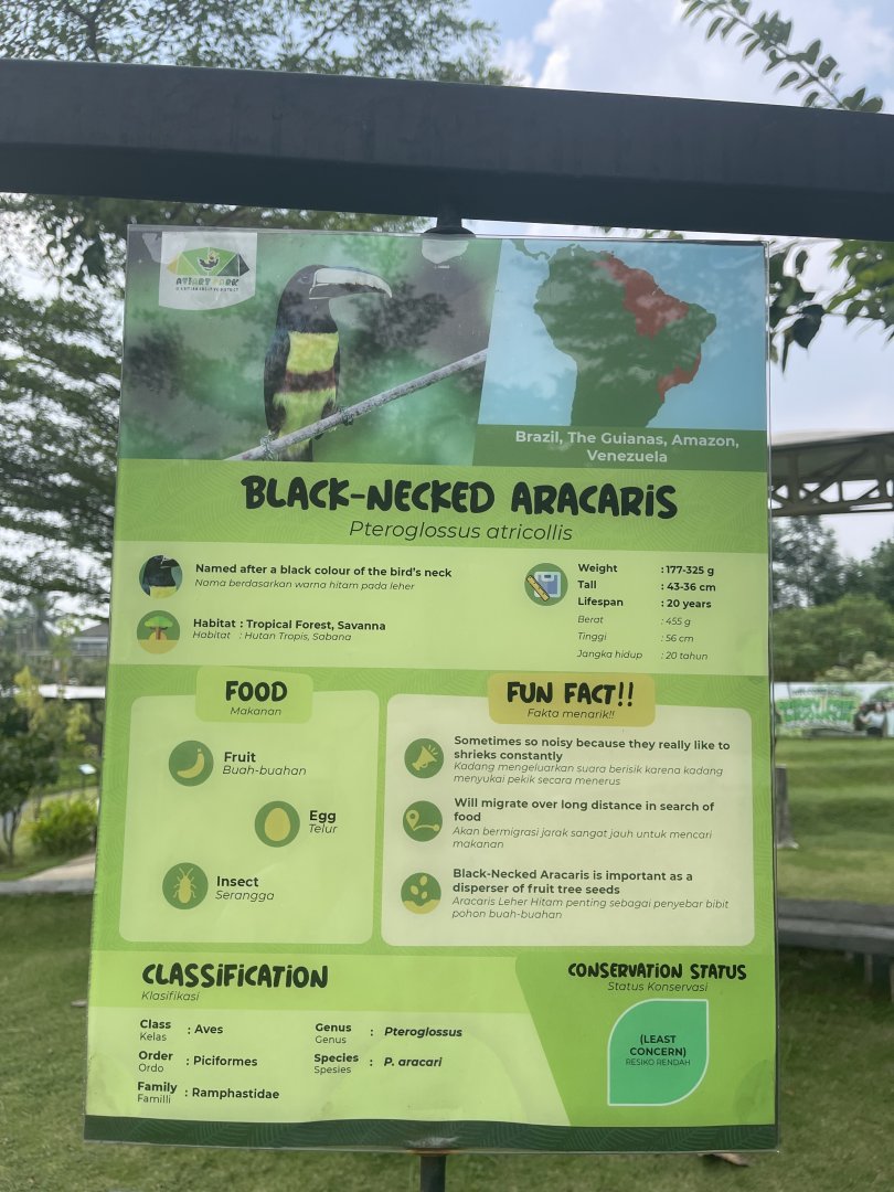 bird show - black-necked aracari signage - aviary park