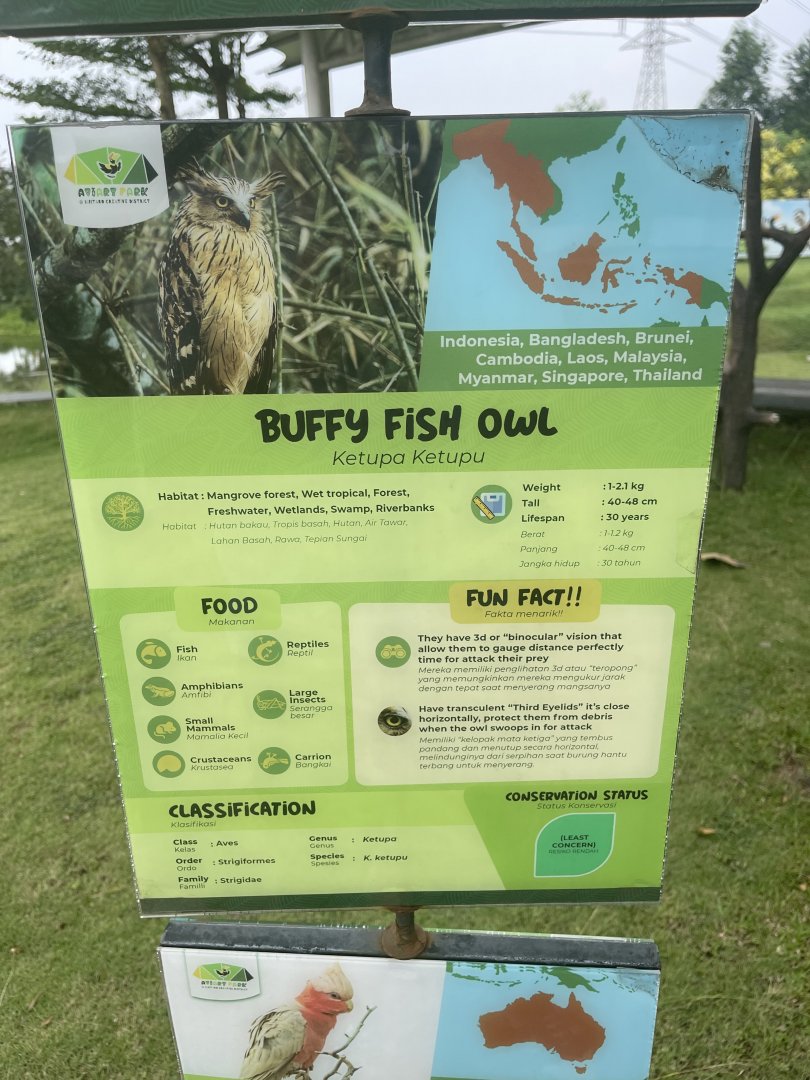 bird show - buffy fish owl signage - aviary park