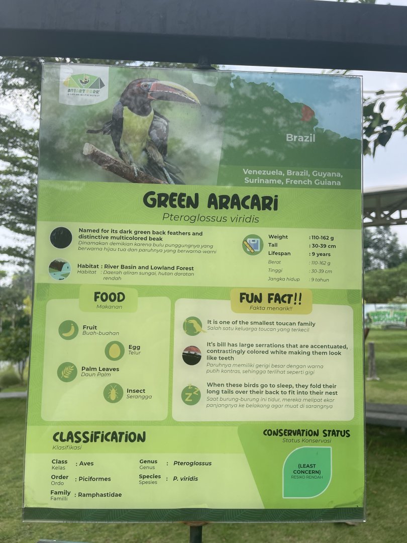 bird show - green aracari signage - aviary park