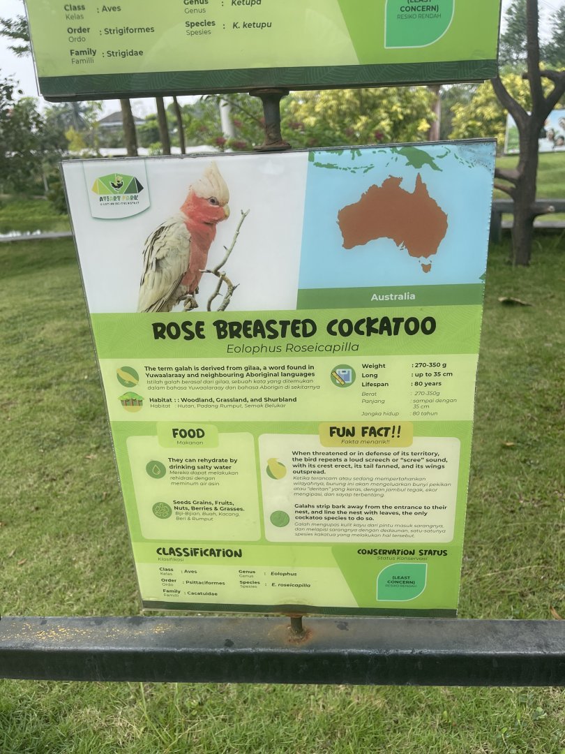 bird show - rose-breasted cockatoo signage - aviary park