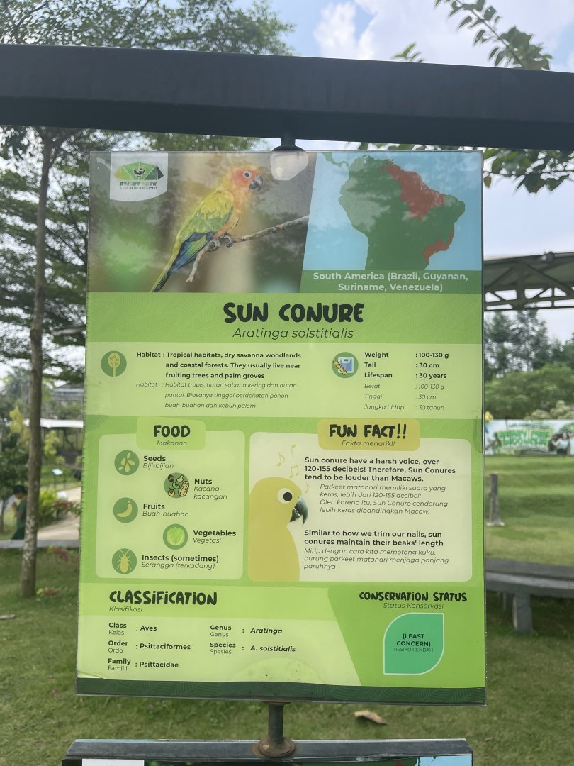 bird show - sun conure signage - aviary park